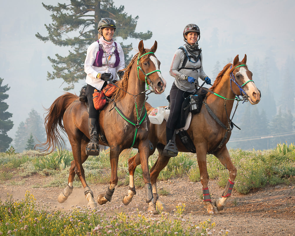 Endurance & Hybrid