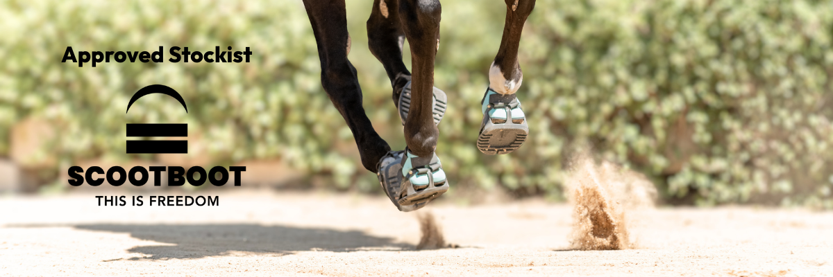 Scootboots