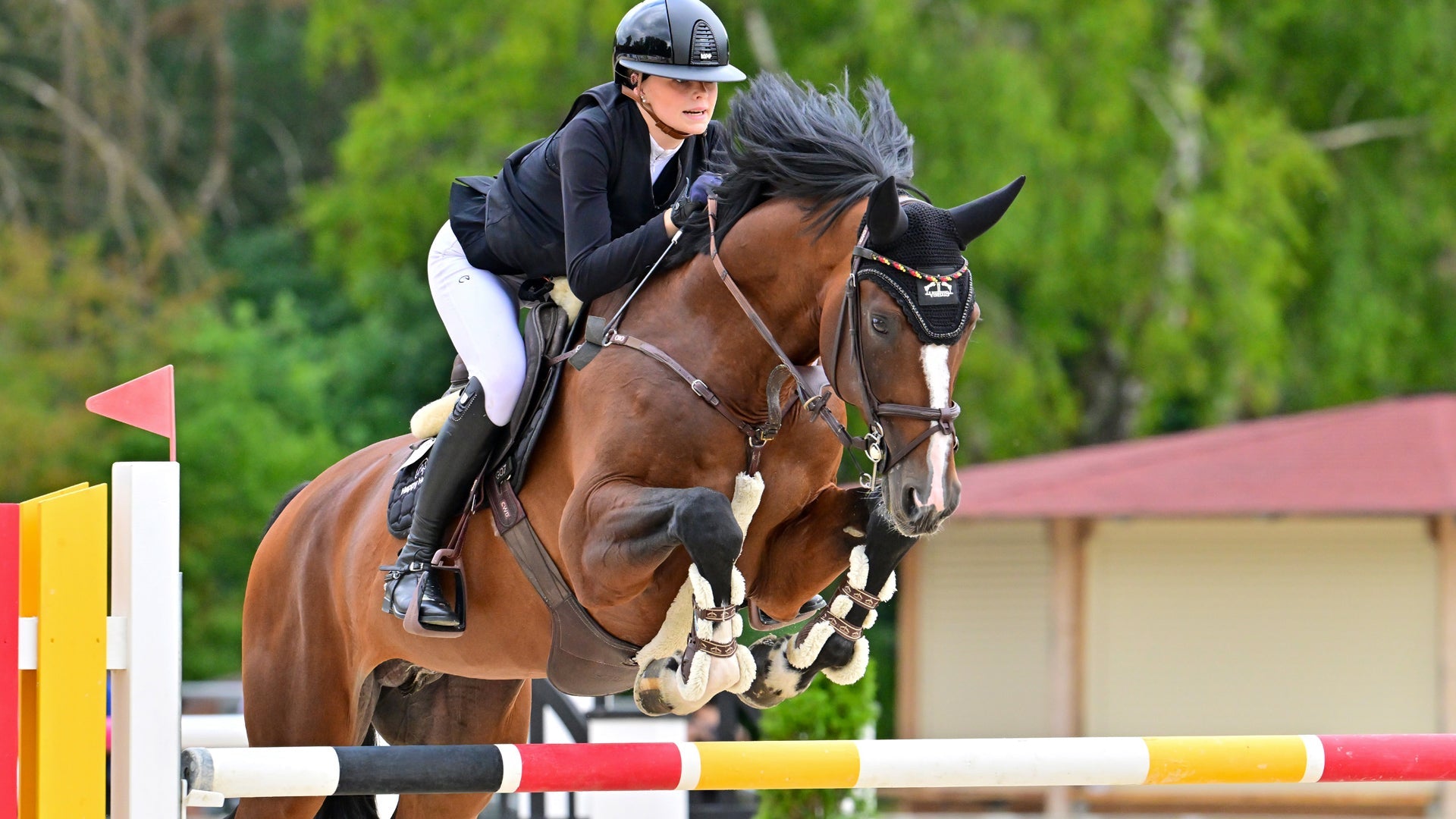 Jump Saddles