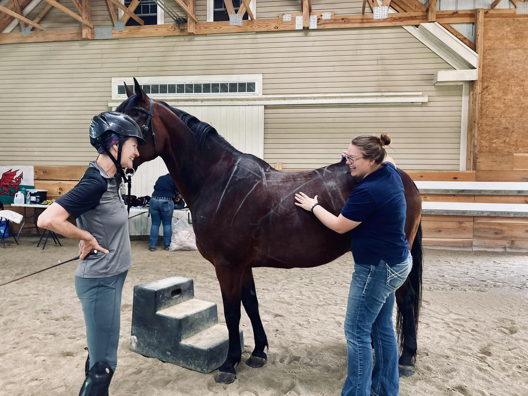 Saddle Fitting & Services