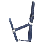 Beta Biothane Halter