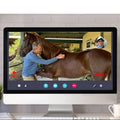 Saddle Fitting Consultation